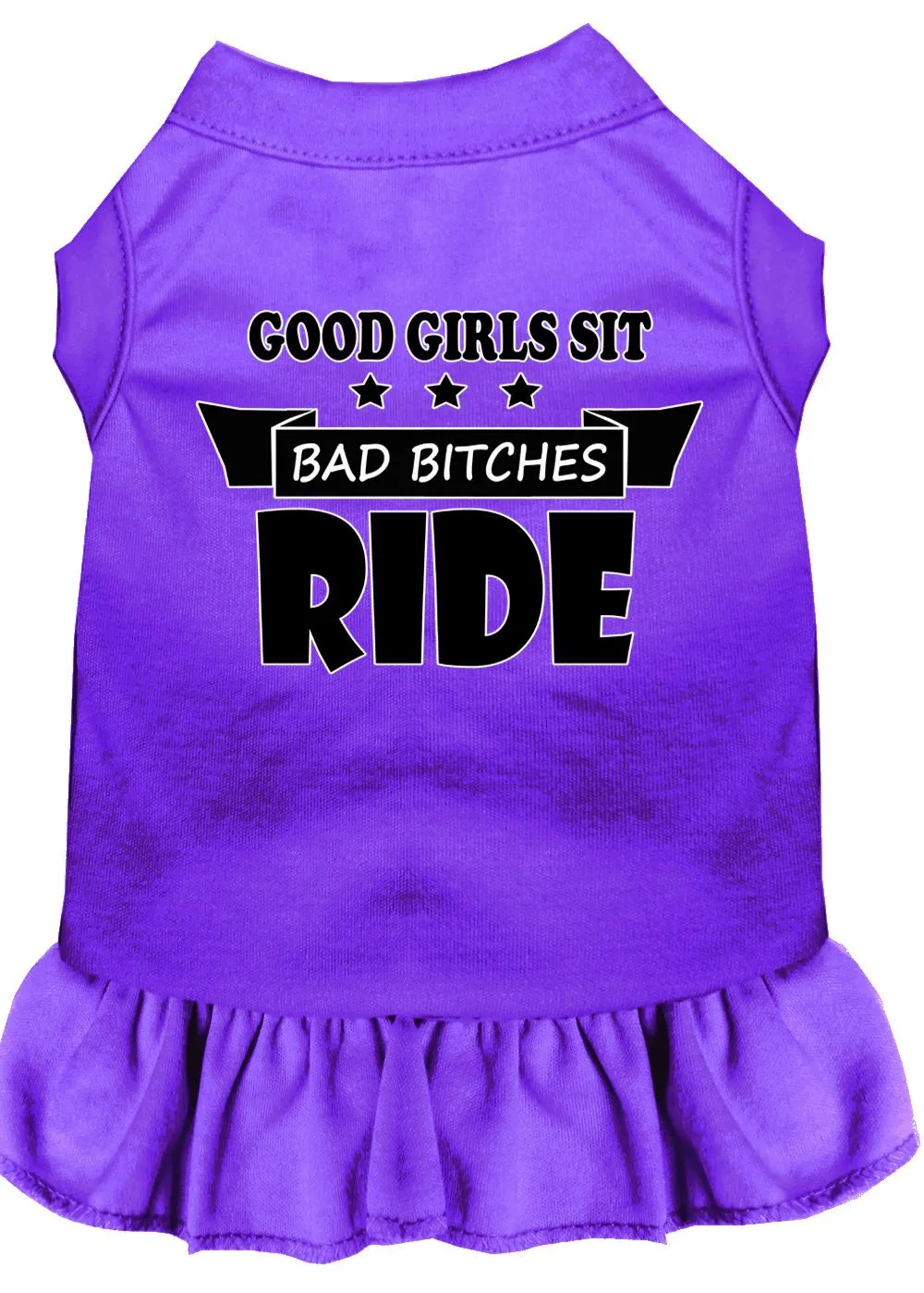 Bitches Ride Screen Print Dog Dress Purple Lg (14)