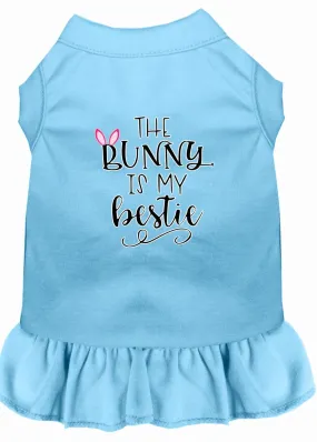 Bunny Is My Bestie Screen Print Dog Dress Baby Blue Xl (16)