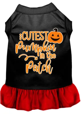 Cutest Pumpkin In The Patch Screen Print Dog Dress Black With Red Xl
