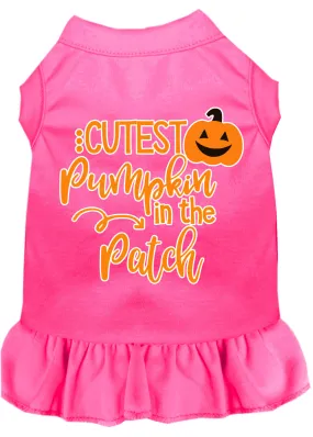 Cutest Pumpkin In The Patch Screen Print Dog Dress Bright Pink Lg
